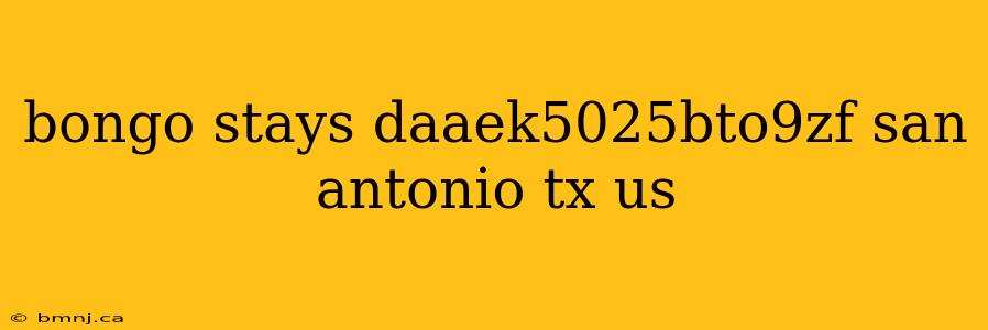 bongo stays daaek5025bto9zf san antonio tx us