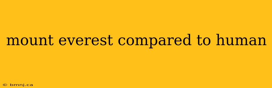 mount everest compared to human