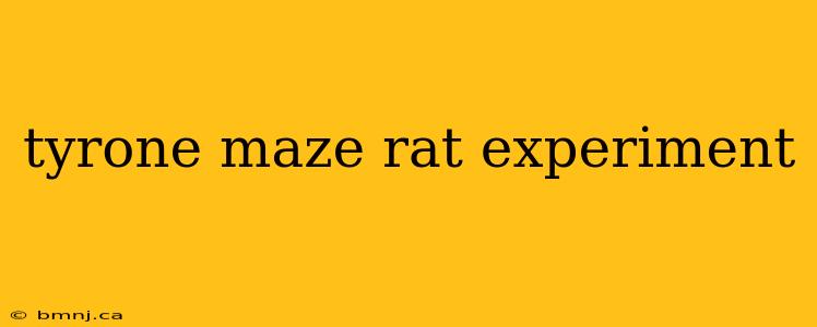 tyrone maze rat experiment