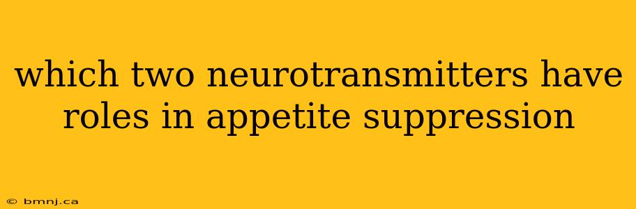 which two neurotransmitters have roles in appetite suppression